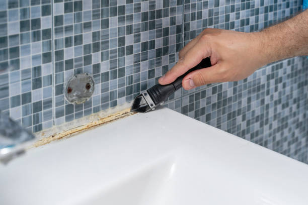 Best Same-Day Mold Removal  in Ellenville, NY
