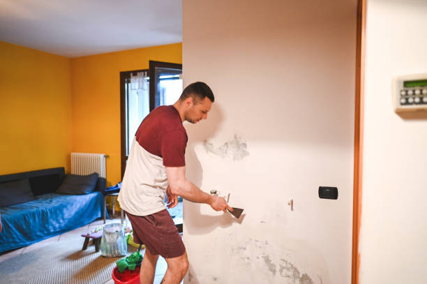 Best Fast Mold Removal  in Ellenville, NY